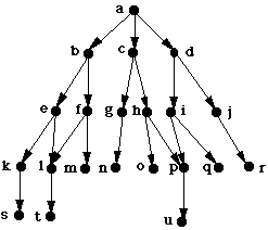 a search
                tree
