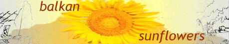 [Balkan Sunflowers]